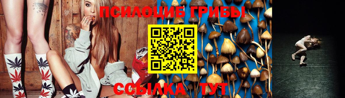 Галлюциногенные грибы Psilocybe Баксан